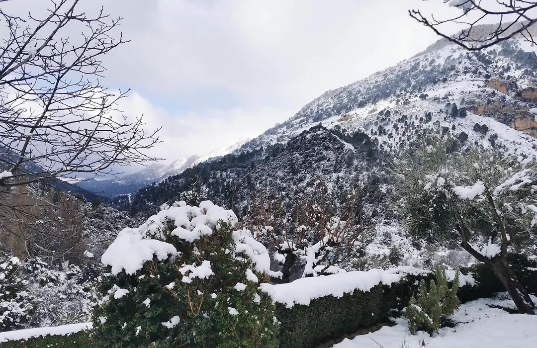 Saluda Alta-1